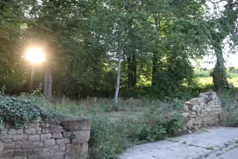 Auf dem alten Friedhof in Asselheim sollen Baumbestattungen möglich werden. Zunächst muss aber die zum Teil eingestürzte Mauer s