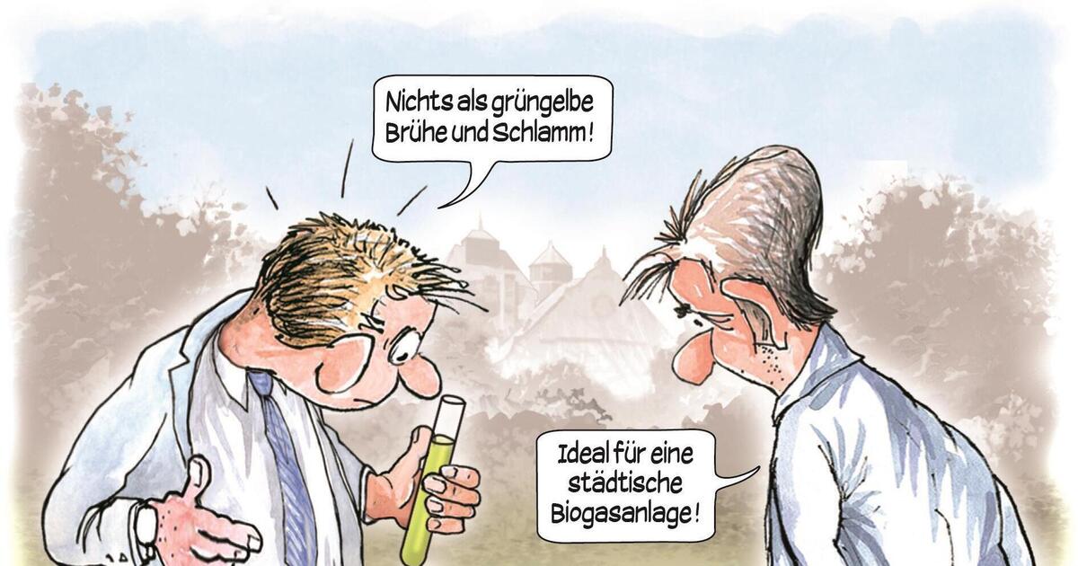 Karikatur der Woche: Biogas am Schwanenweiher - Landau - DIE RHEINPFALZ