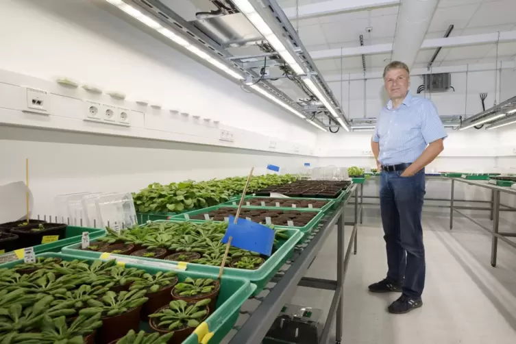 Ekkehard Neuhaus in der Klimakammer des Fachbereichs Biologie.