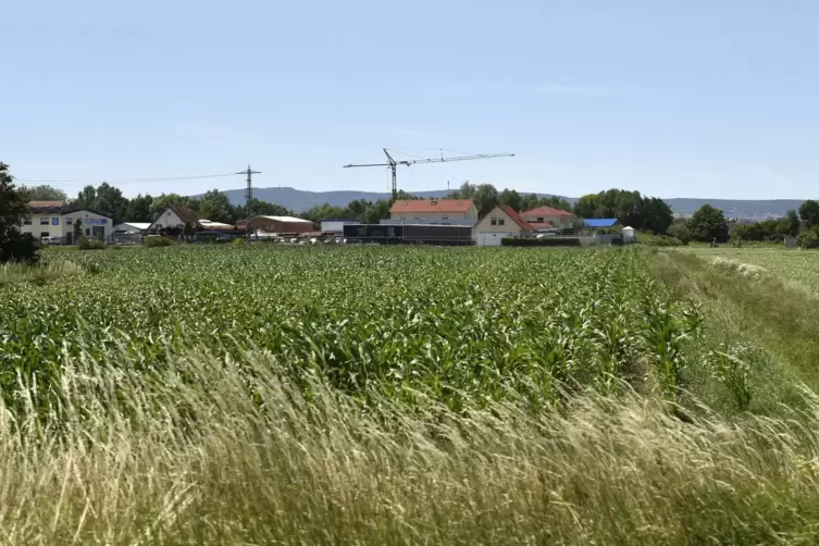 Hier möchte die Ortsgemeinde Lambsheim weitere Gewerbeflächen ausweisen.