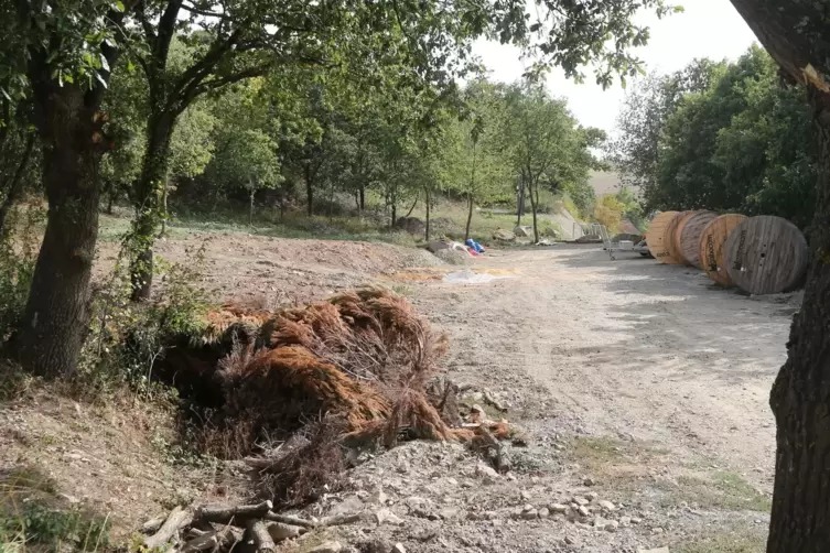 Oberhalb des Ortes wird ein Mehrgenerationenplatz angelegt. Dort will die Telekom auch einen Mobilfunk-Turm bauen.