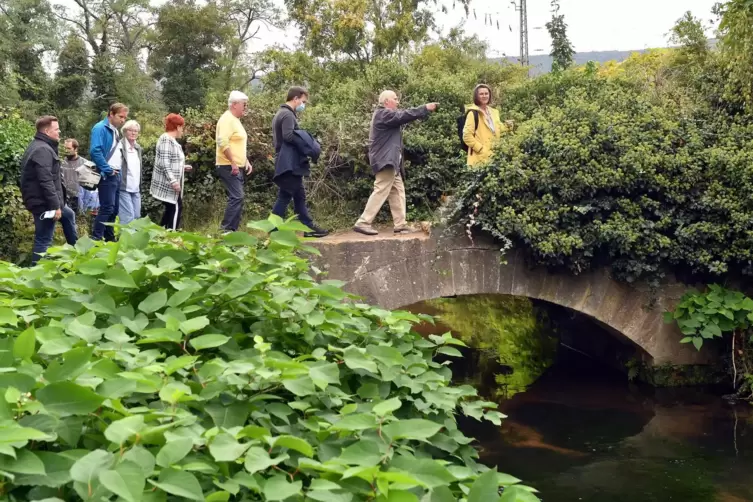 In Kleingruppen aufgeteilt, konnten Interessierte das für die Landesgartenschau infrage kommende Areal erkunden. Hier überqueren