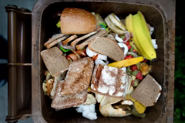 Um Müll, Recycling und Umweltschutz geht es für die älteren Kinder.