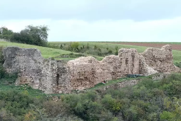 So sieht die Burgmauer jetzt aus, nachdem sie von Efeu befreit und das Mauerwerk aufgemörtelt wurde. Als nächstes soll die Mauer