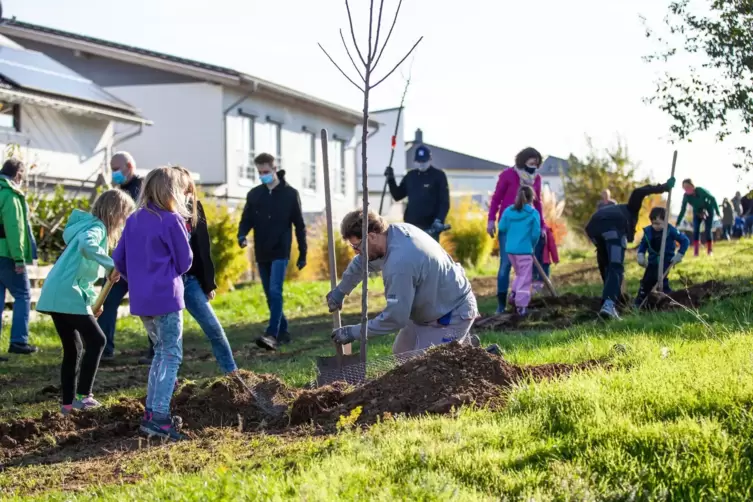 Mehr als 100 fleißige Helfer haben im Asselheimer Neubaugebiet Battenbühl Bäume gepflanzt.