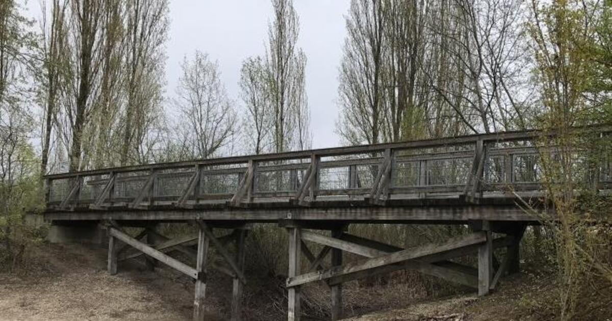 Binsfeld: Neue Brücke soll im Februar stehen - Speyer ...