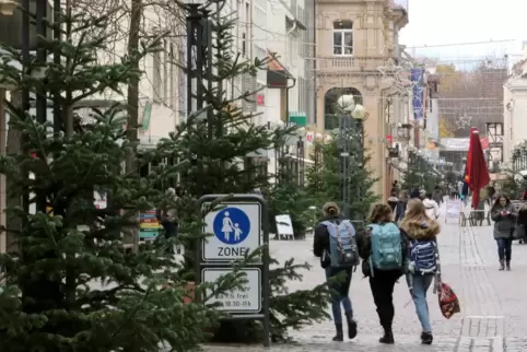 Die aufgestellten Tannen sind speziell fürs Weihnachtsfest gezüchtet. Danach bekommt sie der Zoo.