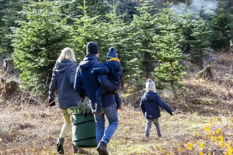 Die Packtasche deutet es an: Am Wochenende sind Familien, Paare oder einzelne Personen in der Weihnachtsbaumkultur am Forstamt u