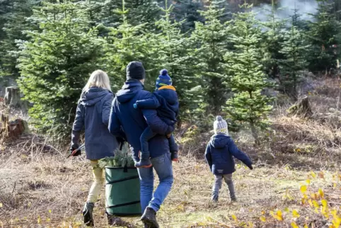 Die Packtasche deutet es an: Am Wochenende sind Familien, Paare oder einzelne Personen in der Weihnachtsbaumkultur am Forstamt u