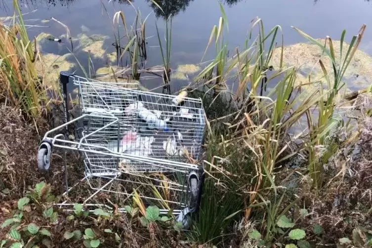 Ein Einkaufswagen vom Hit-Markt lag im renaturierten Eisbach. Er wurde mittlerweile zurückgebracht.