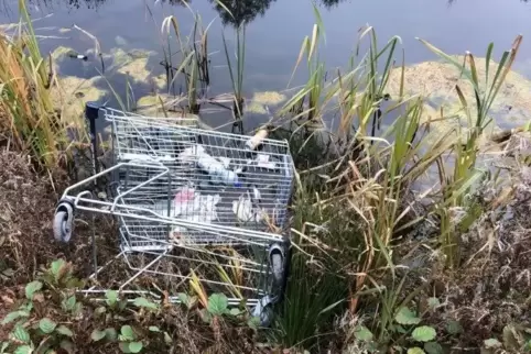 Ein Einkaufswagen vom Hit-Markt lag im renaturierten Eisbach. Er wurde mittlerweile zurückgebracht.