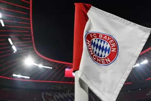 Pfälzer Bayern-Fans sind virtuell unterwegs mit ihrem Club.