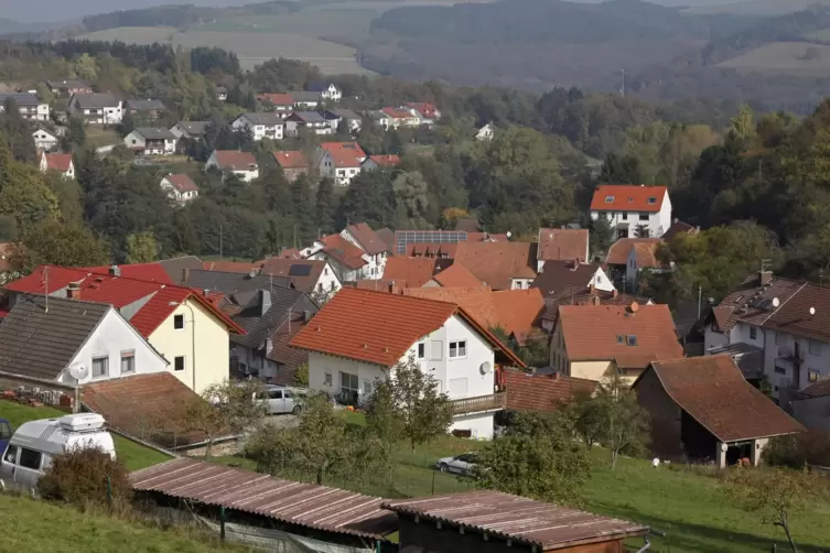 Baumkataster, Betriebsplanung für den Gemeindewald und Forstwirtschaftsplan – all das beschäftigte den Ortsgemeinderat Frankelba