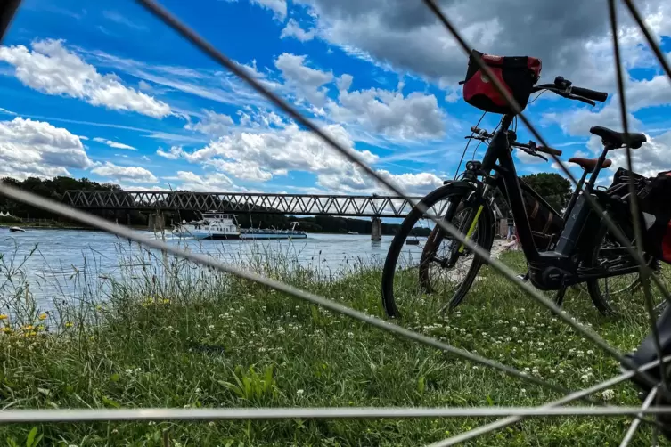 Viele Radfahrer sind entlang des Rheins unterwegs. Der Radweg bei Germersheim wird barrierefrei ausgebaut. 