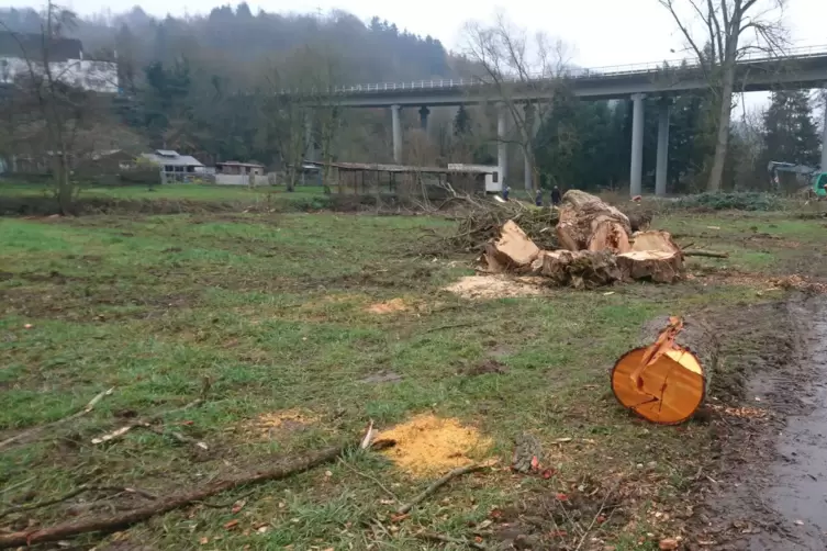 Die Wiese soll wieder in den vorherigen Zustand versetzt werden.