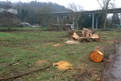 Die Wiese soll wieder in den vorherigen Zustand versetzt werden.