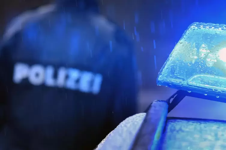 Die Polizei wird immer wieder Zielscheibe von Wut und Aggressionen.