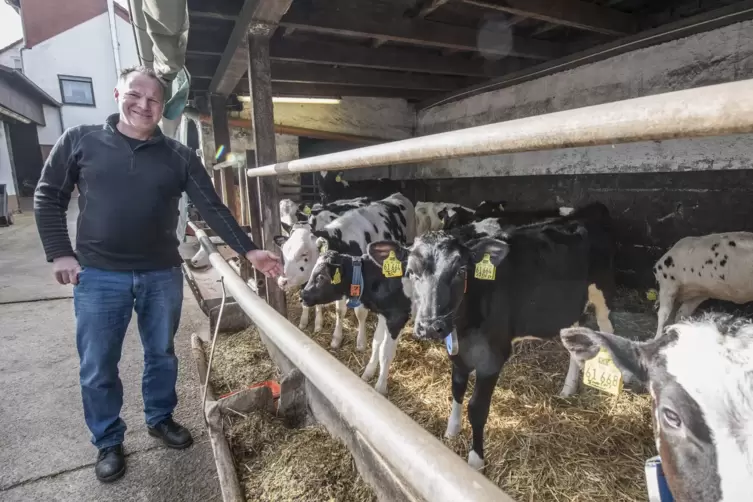 Mit seinen Milchkühen steht Landwirt Jürgen Vogelgesang fast noch auf der Sonnenseite der hiesigen Landwirtschaft. Richtig übel 