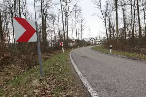 Rechts der Straße zur Bienwaldmühle (erkennbar im Hintergrund) soll für einen Radweg eine Schneise geschlagen werden.