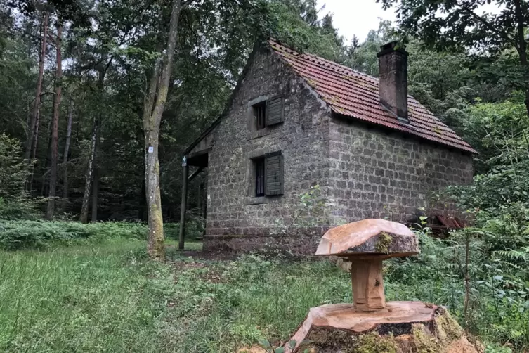 Ein Pilz, wohl mit der Motorsäge geformt, wächst aus einem Baumstamm beim Stephanshäuschen, das am Premiumwanderweg Flößertour b