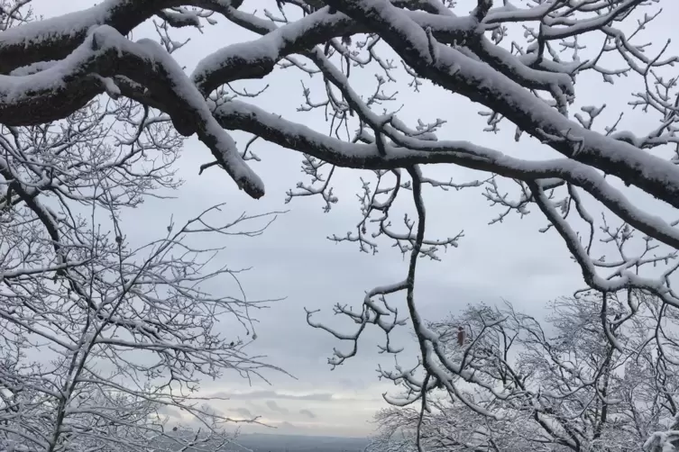 Dieses wunderschöne Winterwunderland hat Sonya Bauer aus Erpolzheim entdeckt.