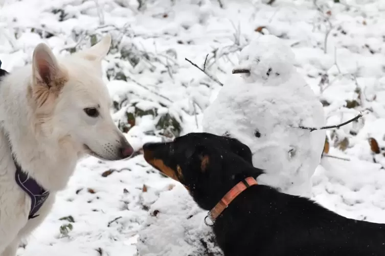 Pfeiffen auf die AHA-Regeln: Aska und Ida.