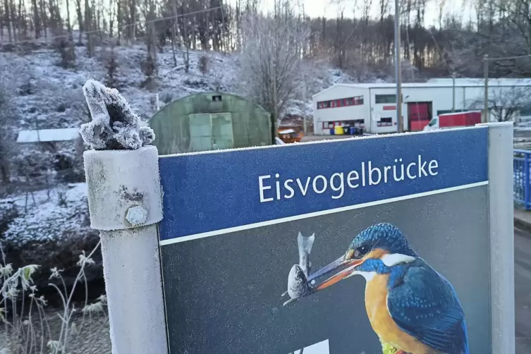 Auch die neue Vogelfigur wurde wieder abgerissen und mitgenommen.