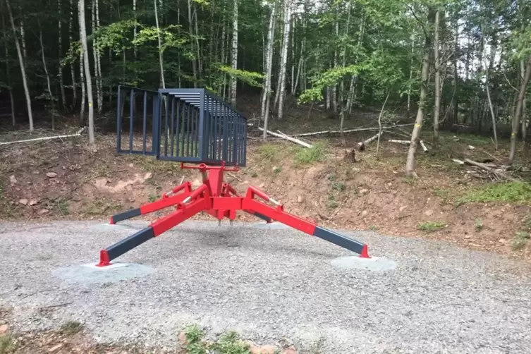 Kunst ist streitbar: Die Skulptur „Das Tier“ von Thomas Gerhards steht seit August 2020 im Kapiteltal. 