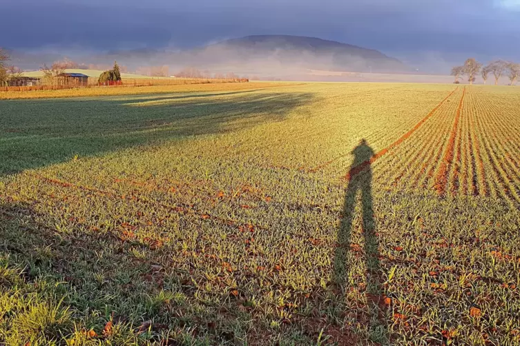 „Riesige“ Atmosphäre: Erwin Schottlers Blick von Standenbühl auf den in Nebelschwaden und dunkle Wolken gehüllten Donnersberg. 