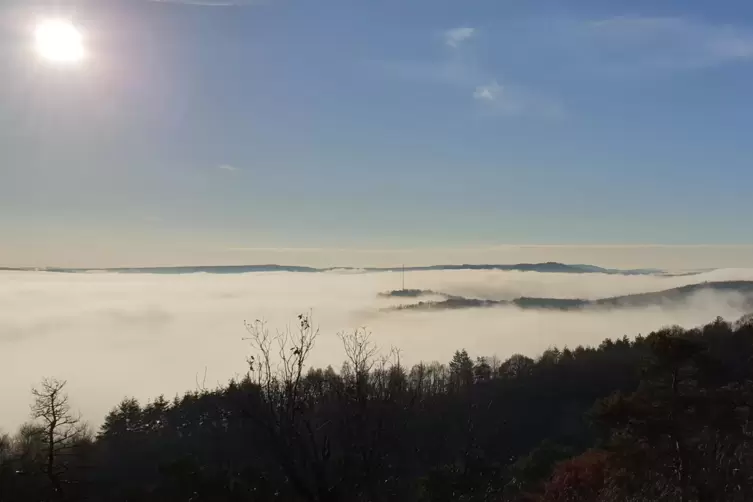 Zweimal das gleiche Bild hat Andreas Fischer aus Falkenstein gemacht: einmal mit ...