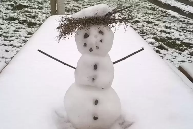 Wilfried Fränkle hat beim Spaziergang nahe Teschenmoschel ein Schneemännchen entdeckt.