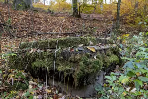 Trauriger Anblick: Der sagenumwobene Wallerbrunnen befindet sich derzeit in keinem guten Zustand.