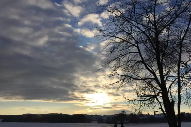 „Hier in Trippstadt zeigt sich der Winter von seiner schönsten Seite. Es gibt immer was zu sehen und zu fotografieren“, sagt Eri