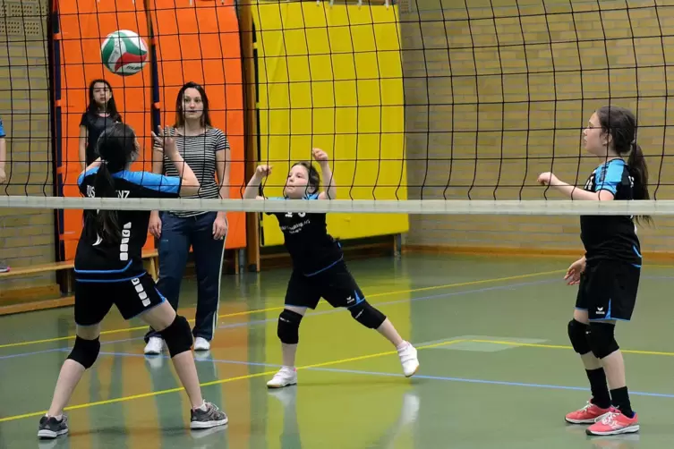 Die Jugendarbeit, hier ein Bild der TuS Alsenz aus früheren Jahren, ruht zurzeit. Der Volleyball-Verband rechnet laut Abteilungs