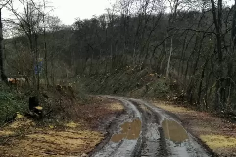 Der Glan-Blies-Weg zwischen Glan-Münchweiler und Nanzdietschweiler Vor der Instandsetzung. 