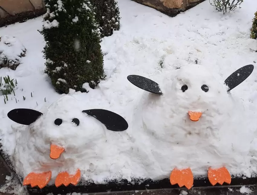 ... das Bild dieser lustigen Gartenbewohner. Da sind doch glatt ein paar Pinguine vorbeigekommen.