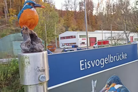 Kaum da, schon wieder weg. Vandalen haben die Eisvogelfigur in Mittelbach gestohlen.