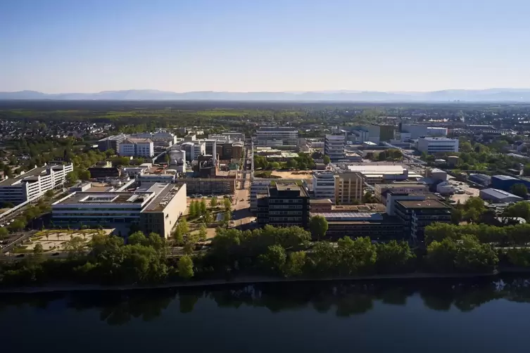 Am Roche-Standort in Mannheim sind rund 8400 Mitarbeiter beschäftigt. 