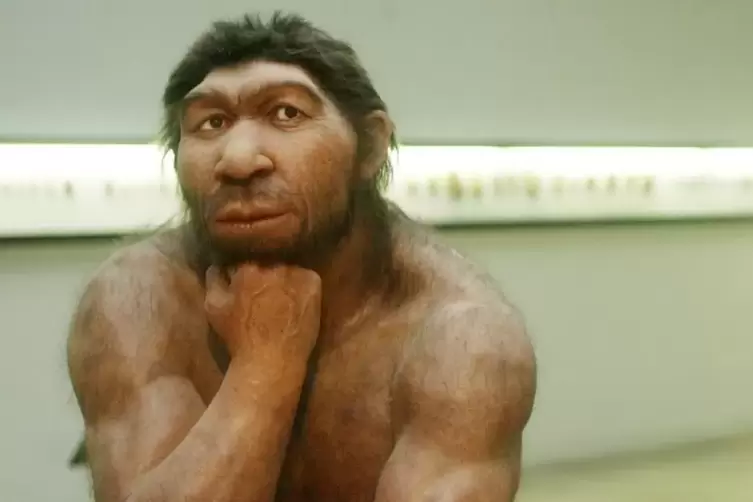 Der Neandertaler in uns kommt öfter zum Vorschein, als wir erwarten würden.