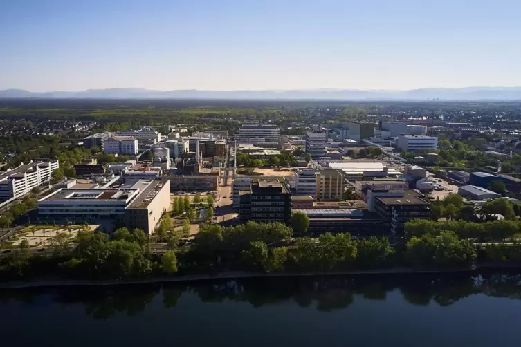 Am Roche-Standort in Mannheim sind rund 8400 Mitarbeiter beschäftigt.