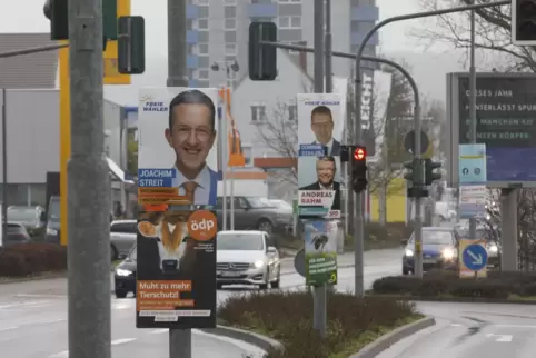 Die Straßenränder sind wieder mit Wahlplakaten zugepflastert.