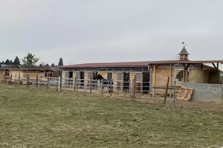 Im neuen Hof stehen in den Stallungen bereits vereinzelt Pferde.