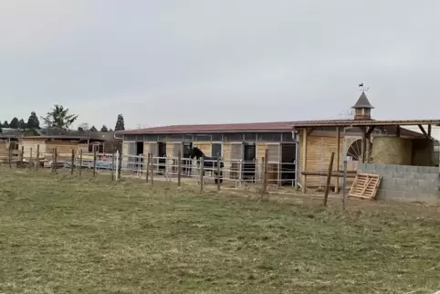Im neuen Hof stehen in den Stallungen bereits vereinzelt Pferde.