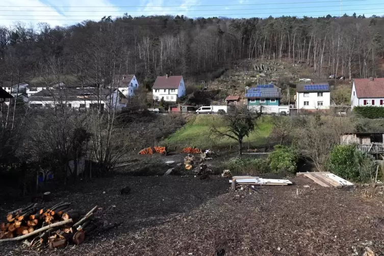 Auf dieser Fläche wurden ohne Genehmigung zwölf Erlen und drei Weiden gefällt. 