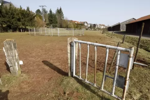 Auf diesem Gelände soll die Mittelbrunner Jugend bald kicken können. Ein Bolzplatz wird hier angelegt.