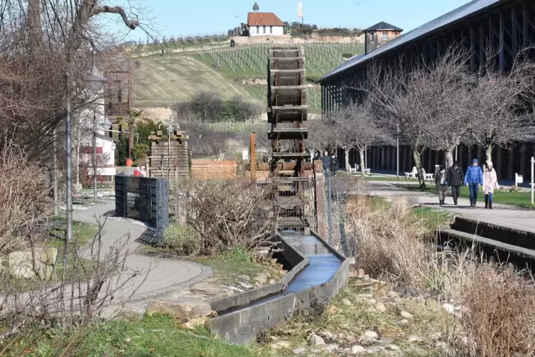 Beliebtes Ziel: der Kurpark in Bad Dürkheim. 