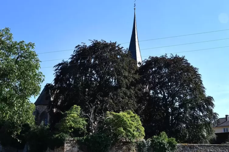 Weisenheim am Berg