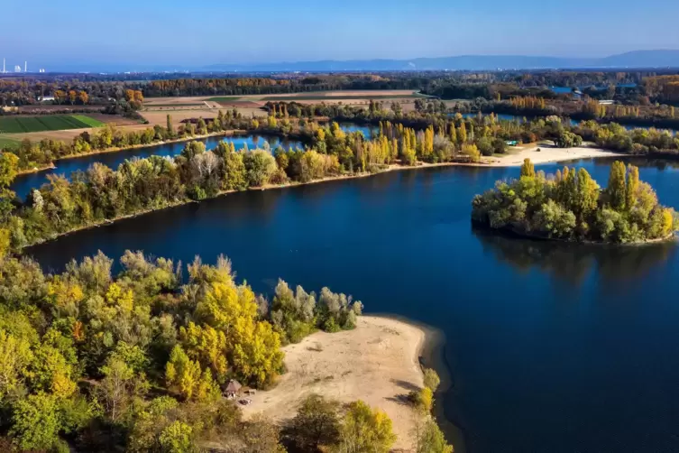 Freizeitparadies Binsfeld: Die Stadt will dort mehr für den Naturschutz tun.