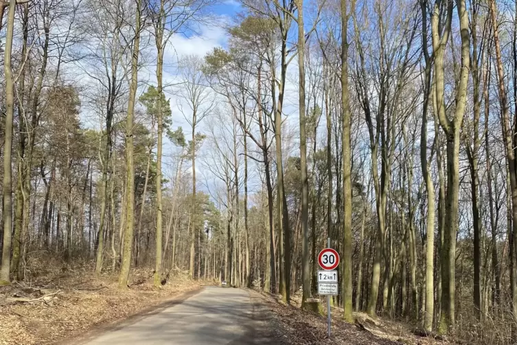 Die Straße zur Rothen Hohl darf derzeit nur mit Berechtigungsplakette befahren werden.