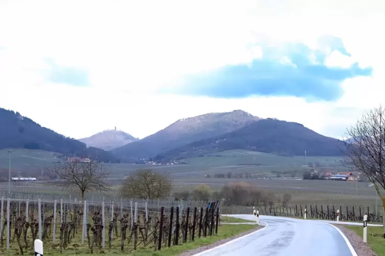 Der Mast soll etwa hier an der Kreisstraße 6 zwischen Mörzheim und Ilbesheim aufgestellt werden – vor der Kulisse der Haardt. 